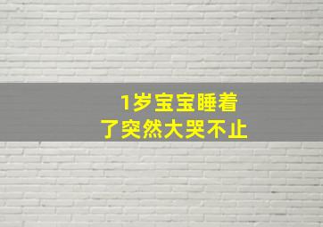 1岁宝宝睡着了突然大哭不止