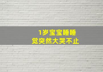 1岁宝宝睡睡觉突然大哭不止