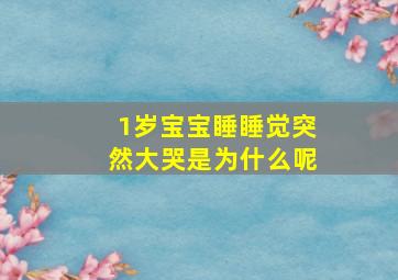 1岁宝宝睡睡觉突然大哭是为什么呢