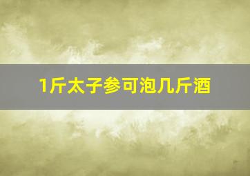 1斤太子参可泡几斤酒