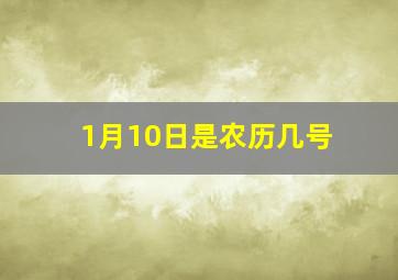 1月10日是农历几号