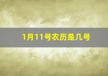 1月11号农历是几号