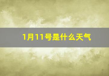 1月11号是什么天气