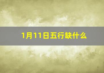 1月11日五行缺什么