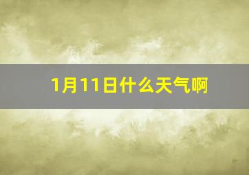 1月11日什么天气啊