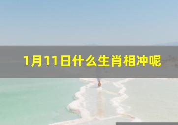 1月11日什么生肖相冲呢