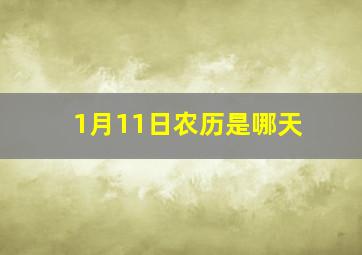 1月11日农历是哪天