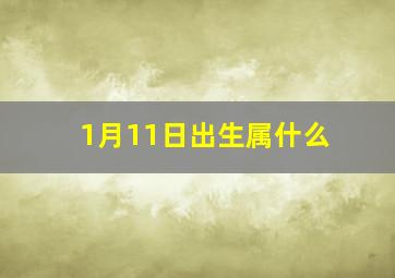 1月11日出生属什么