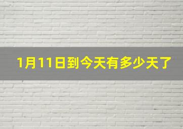 1月11日到今天有多少天了