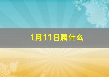 1月11日属什么