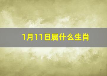 1月11日属什么生肖