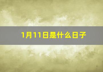 1月11日是什么日子