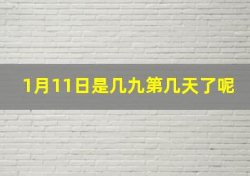 1月11日是几九第几天了呢