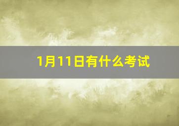 1月11日有什么考试