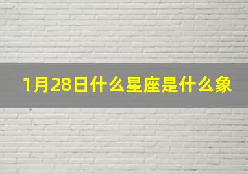 1月28日什么星座是什么象