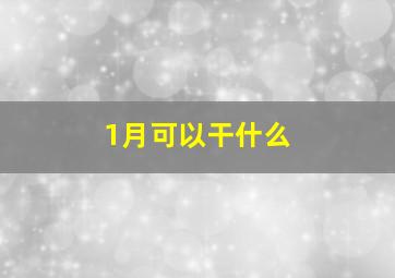 1月可以干什么