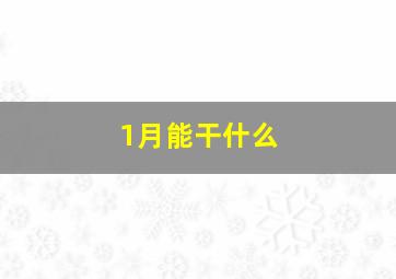 1月能干什么