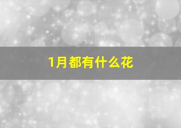 1月都有什么花