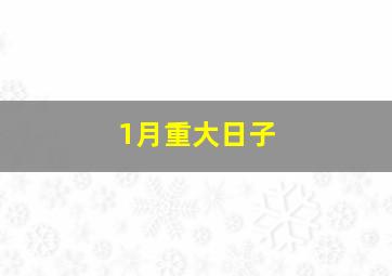 1月重大日子