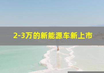 2-3万的新能源车新上市