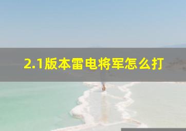 2.1版本雷电将军怎么打