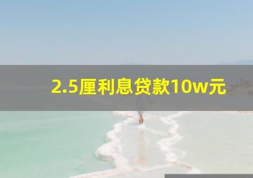 2.5厘利息贷款10w元