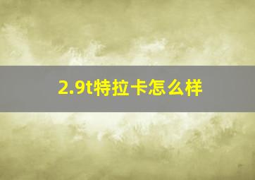 2.9t特拉卡怎么样