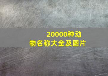 20000种动物名称大全及图片