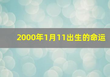 2000年1月11出生的命运