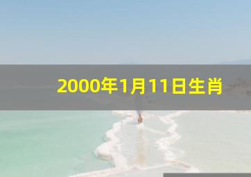 2000年1月11日生肖