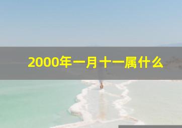 2000年一月十一属什么