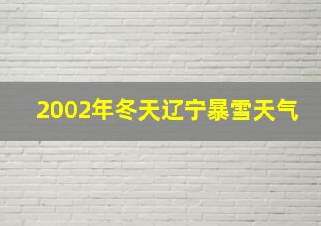 2002年冬天辽宁暴雪天气