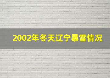 2002年冬天辽宁暴雪情况