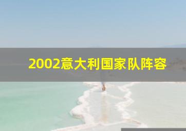 2002意大利国家队阵容