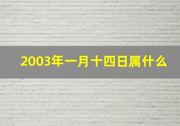 2003年一月十四日属什么