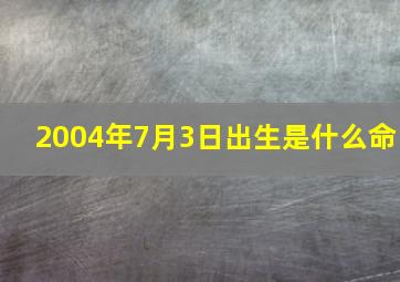 2004年7月3日出生是什么命