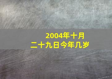 2004年十月二十九日今年几岁