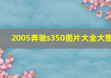 2005奔驰s350图片大全大图