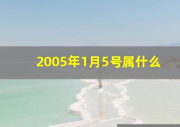 2005年1月5号属什么