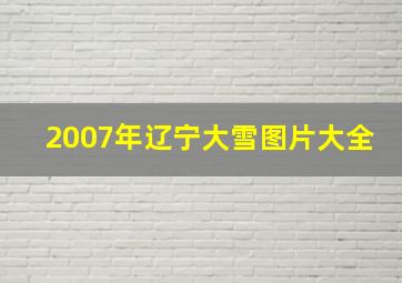 2007年辽宁大雪图片大全