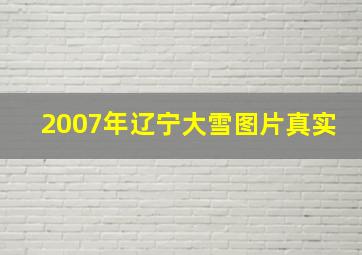 2007年辽宁大雪图片真实