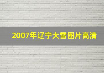 2007年辽宁大雪图片高清