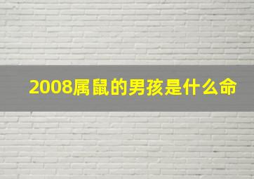 2008属鼠的男孩是什么命