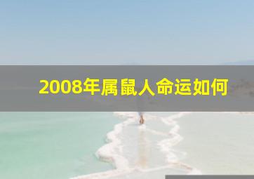 2008年属鼠人命运如何