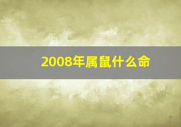 2008年属鼠什么命