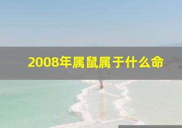 2008年属鼠属于什么命