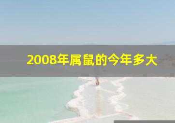 2008年属鼠的今年多大