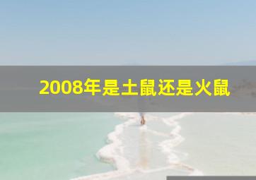 2008年是土鼠还是火鼠