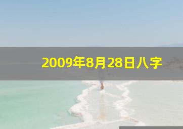 2009年8月28日八字