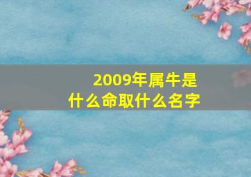 2009年属牛是什么命取什么名字